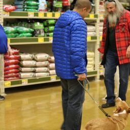 photograph by PeterW